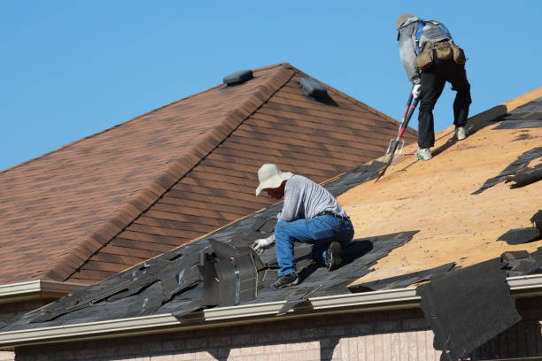 Best Roof Leak Repair  in Sierra Vista, AZ